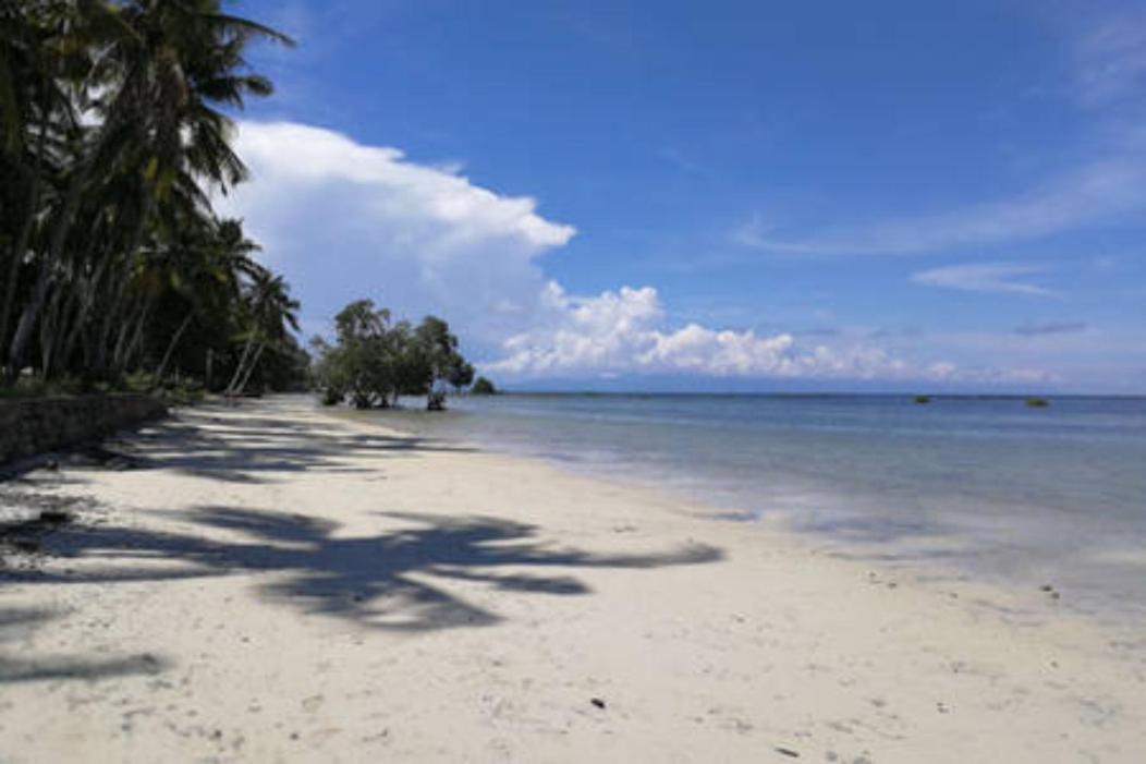 Bamboo Nest Beachfront Puerto Princesa Kültér fotó